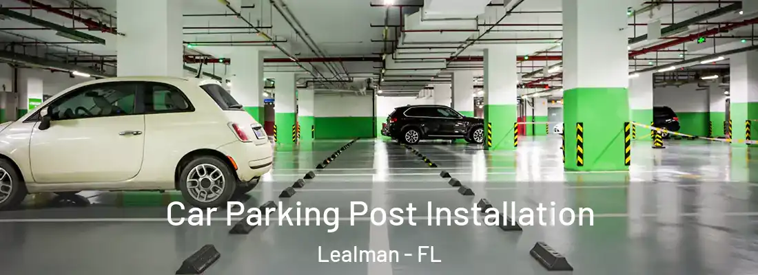  Car Parking Post Installation Lealman - FL