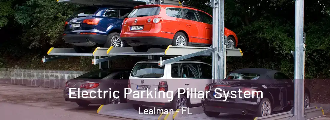  Electric Parking Pillar System Lealman - FL