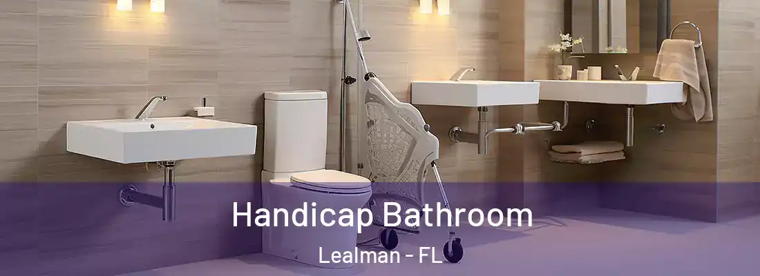 Handicap Bathroom Lealman - FL