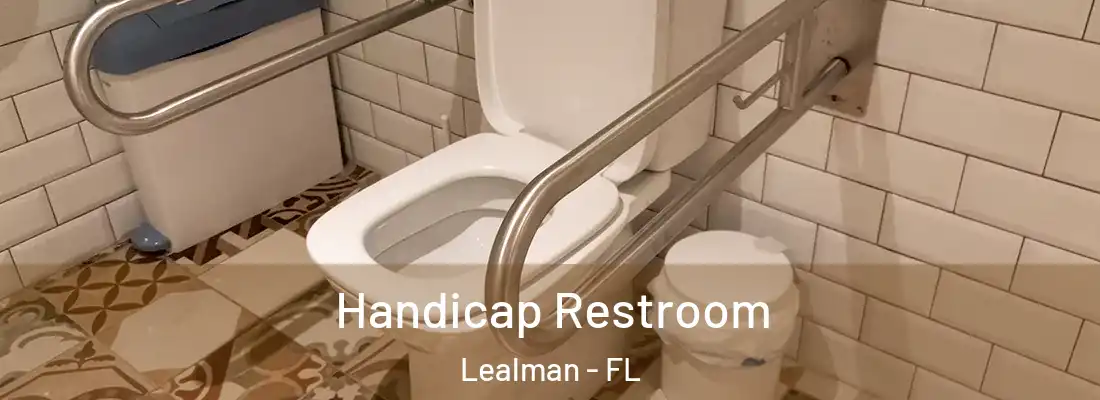  Handicap Restroom Lealman - FL