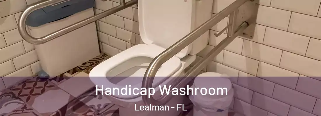  Handicap Washroom Lealman - FL