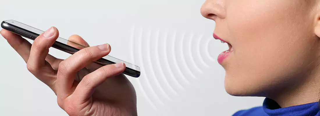 Residential and Commercial Voice Recognition Access Solutions in Lealman, FL