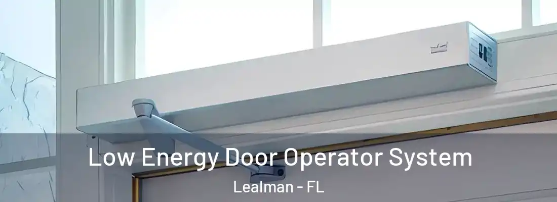  Low Energy Door Operator System Lealman - FL